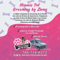 Miami Pet Grooming by Zamy